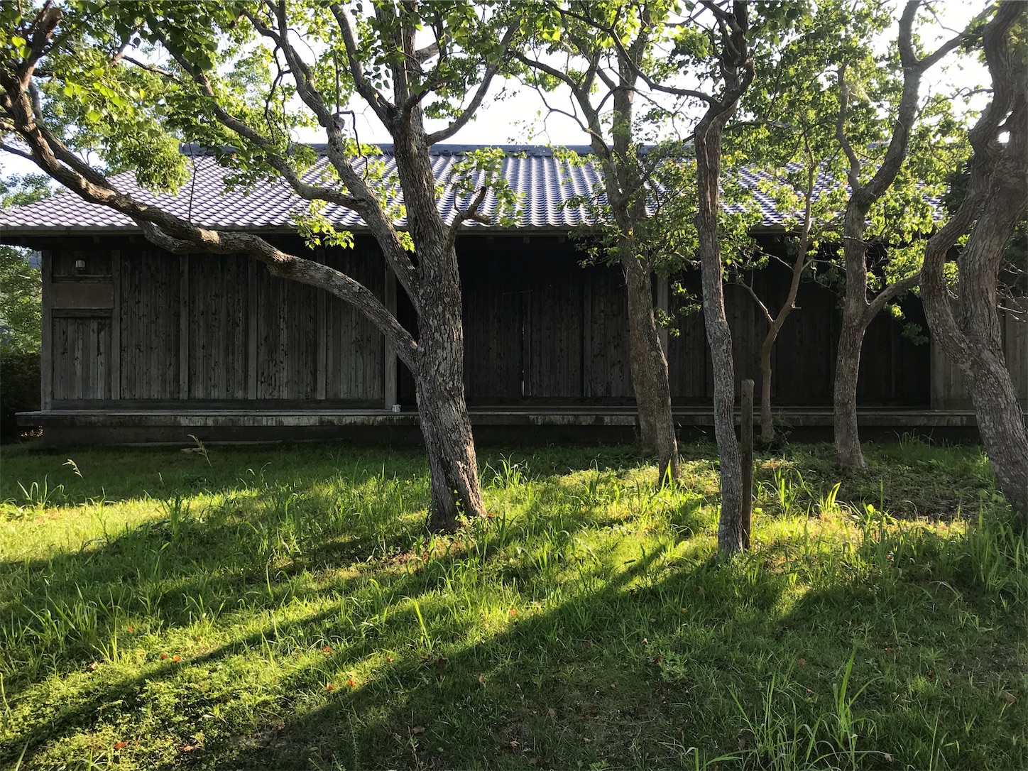 f:id:hatanikiteminkae:20190804094641j:image