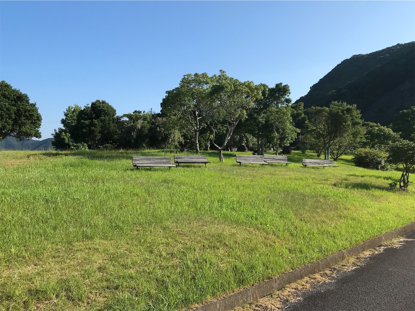 f:id:hatanikiteminkae:20190804094859j:image