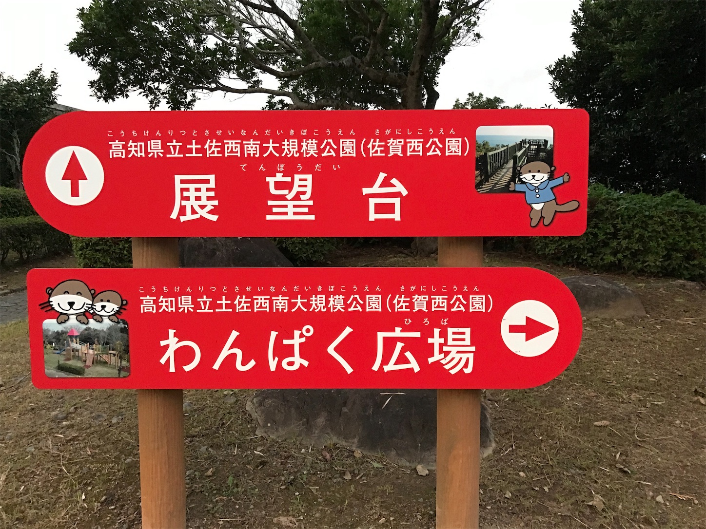 f:id:hatanikiteminkae:20190807203139j:image