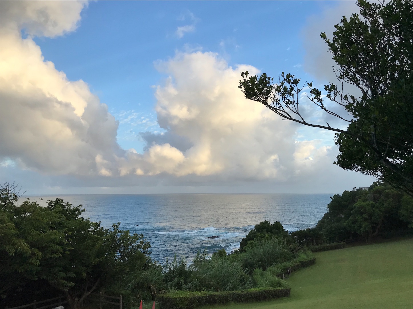 f:id:hatanikiteminkae:20190807203155j:image