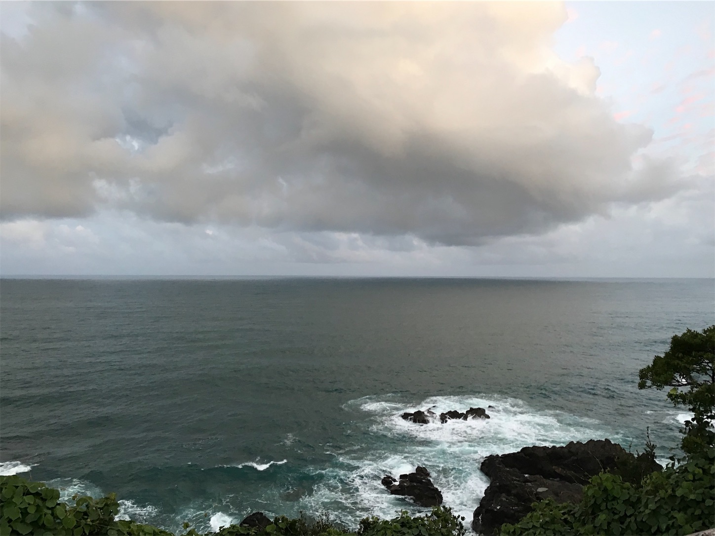 f:id:hatanikiteminkae:20190807203211j:image