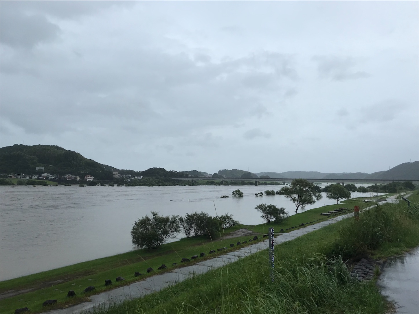 f:id:hatanikiteminkae:20190815172134j:image f:id:hatanikiteminkae:20190815172134j:image