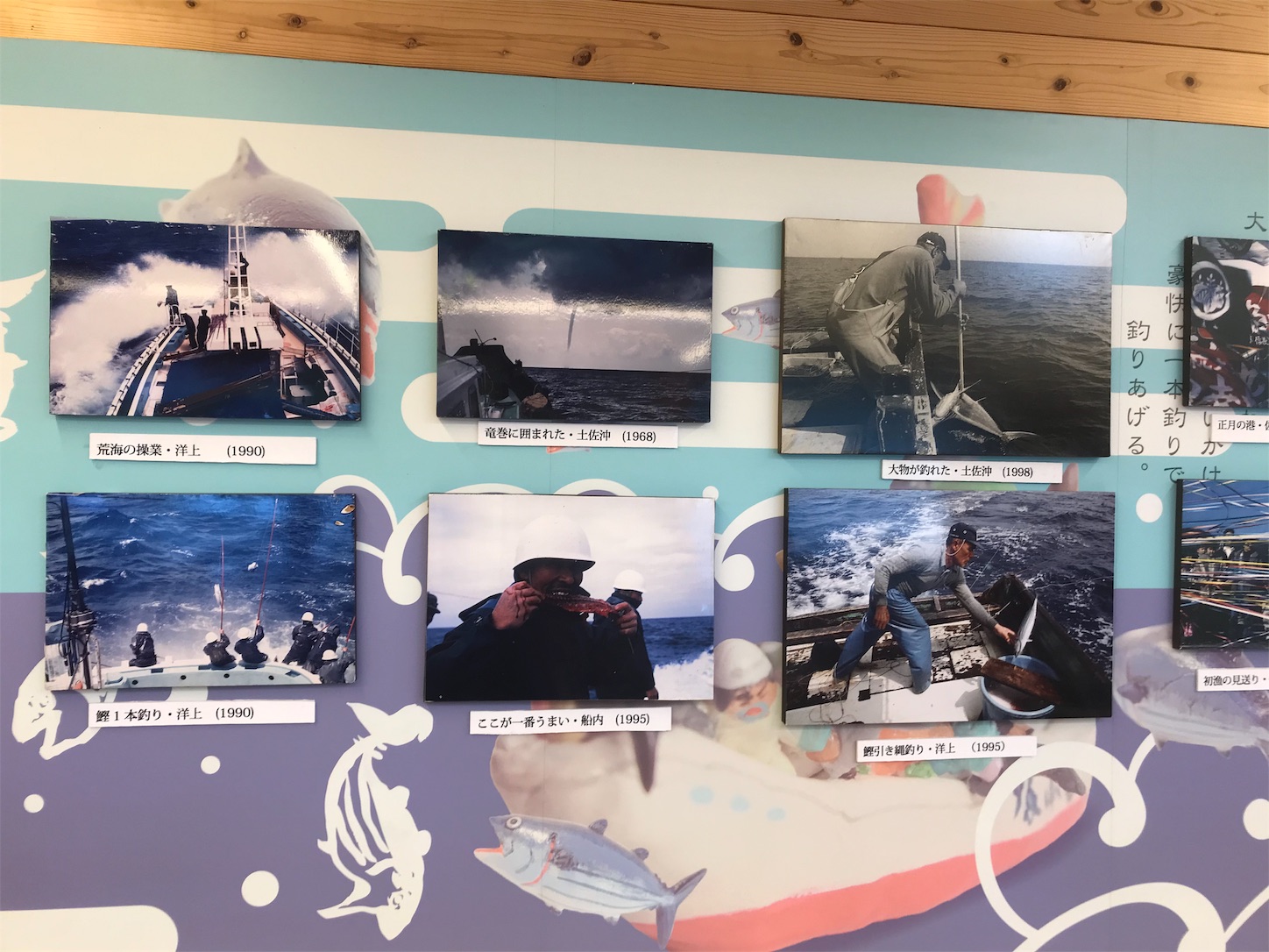 f:id:hatanikiteminkae:20191126155323j:image f:id:hatanikiteminkae:20191126155323j:image