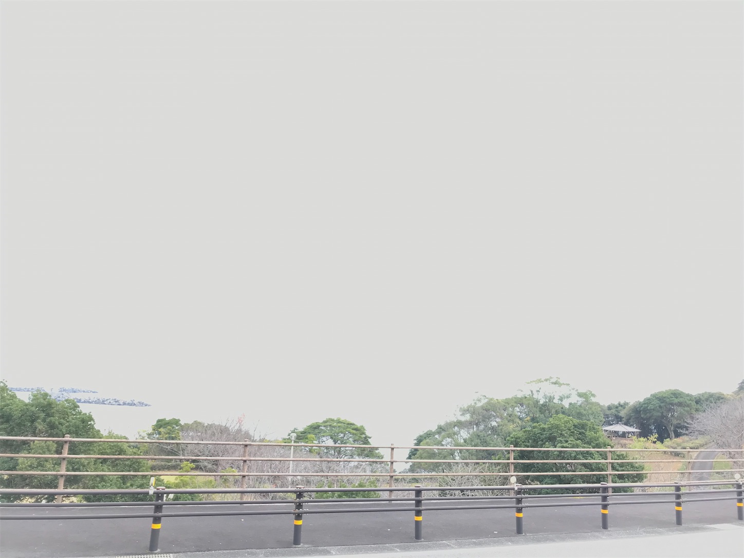 f:id:hatanikiteminkae:20191218000353j:image