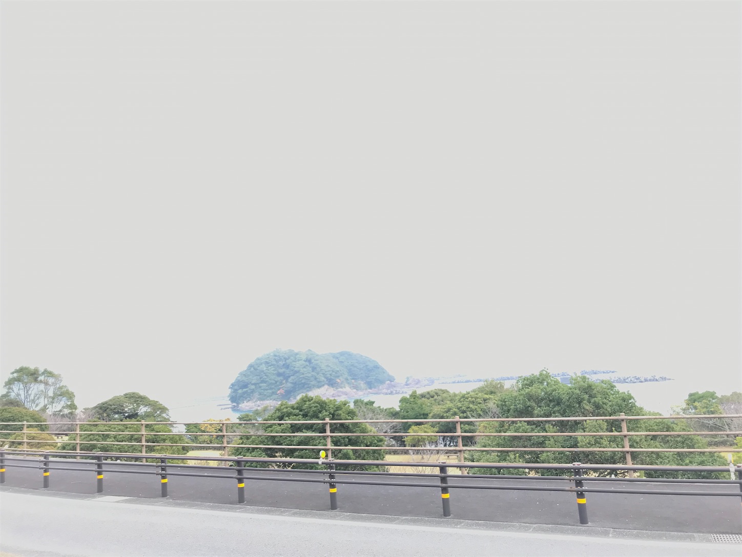 f:id:hatanikiteminkae:20191218000400j:image