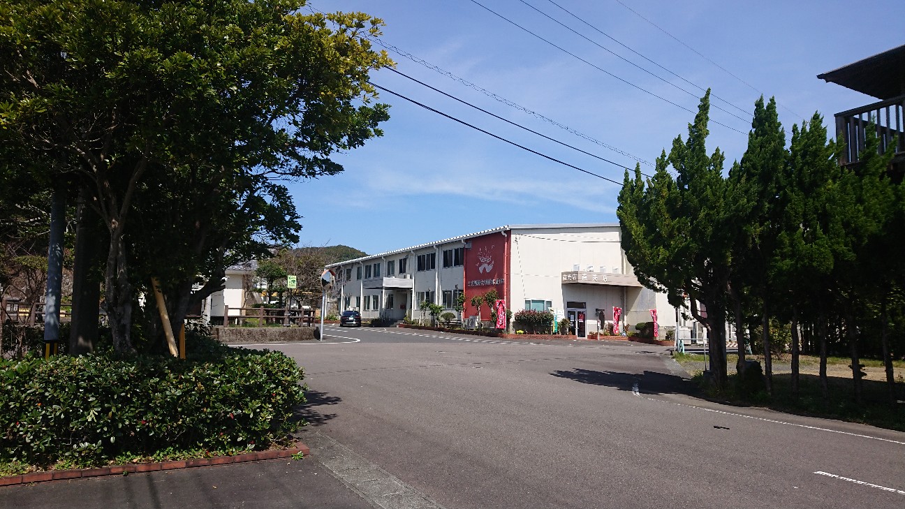 f:id:hatanikiteminkae:20200312203844j:image