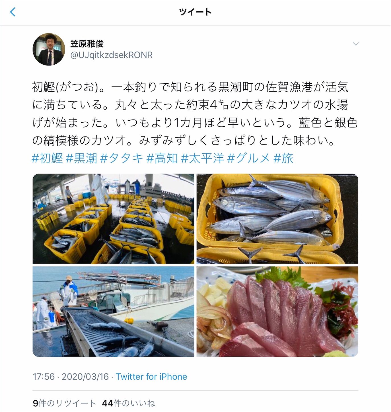 f:id:hatanikiteminkae:20200316184956j:image