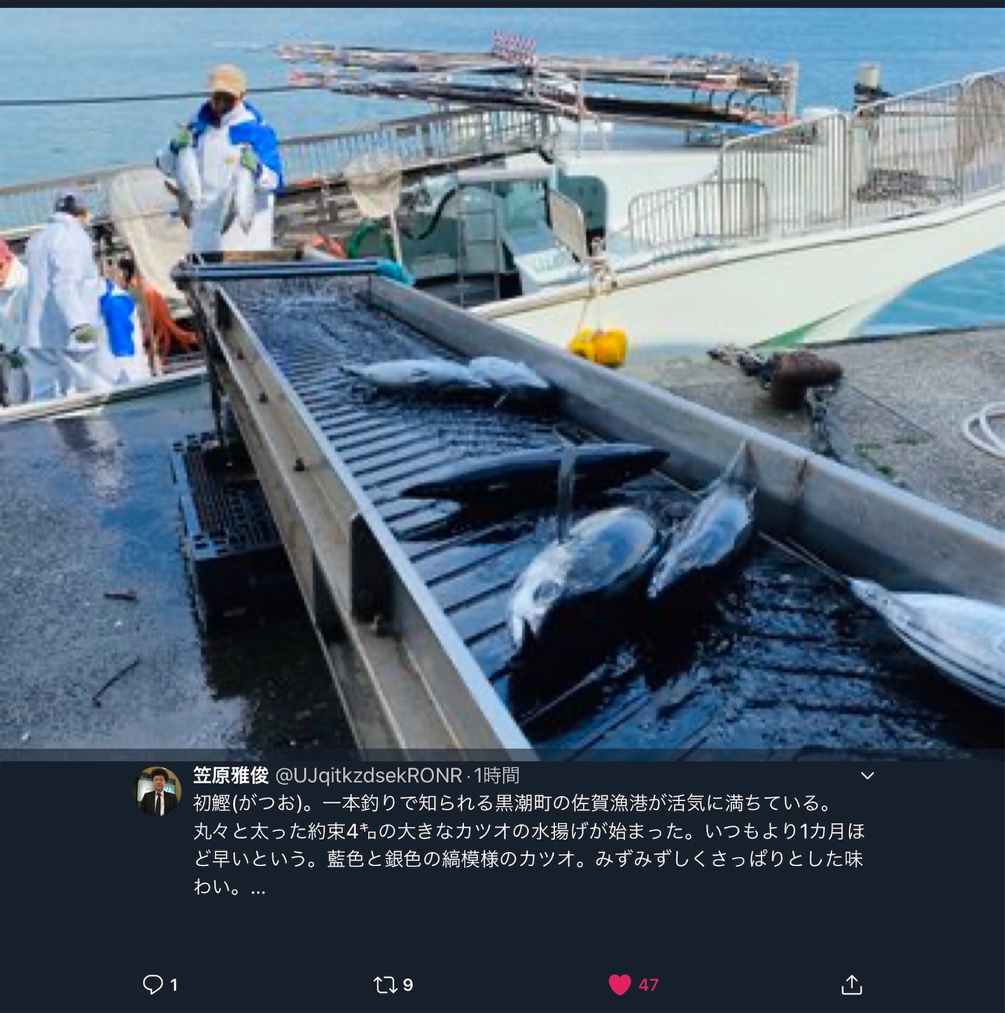 f:id:hatanikiteminkae:20200316190035j:image