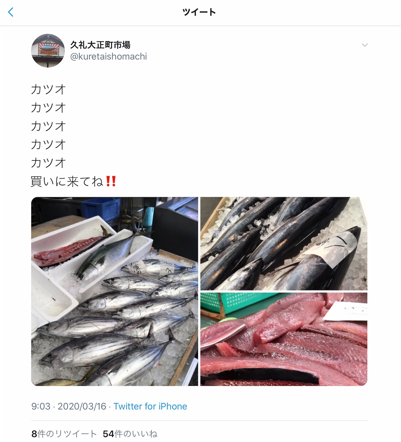 f:id:hatanikiteminkae:20200316205238j:image