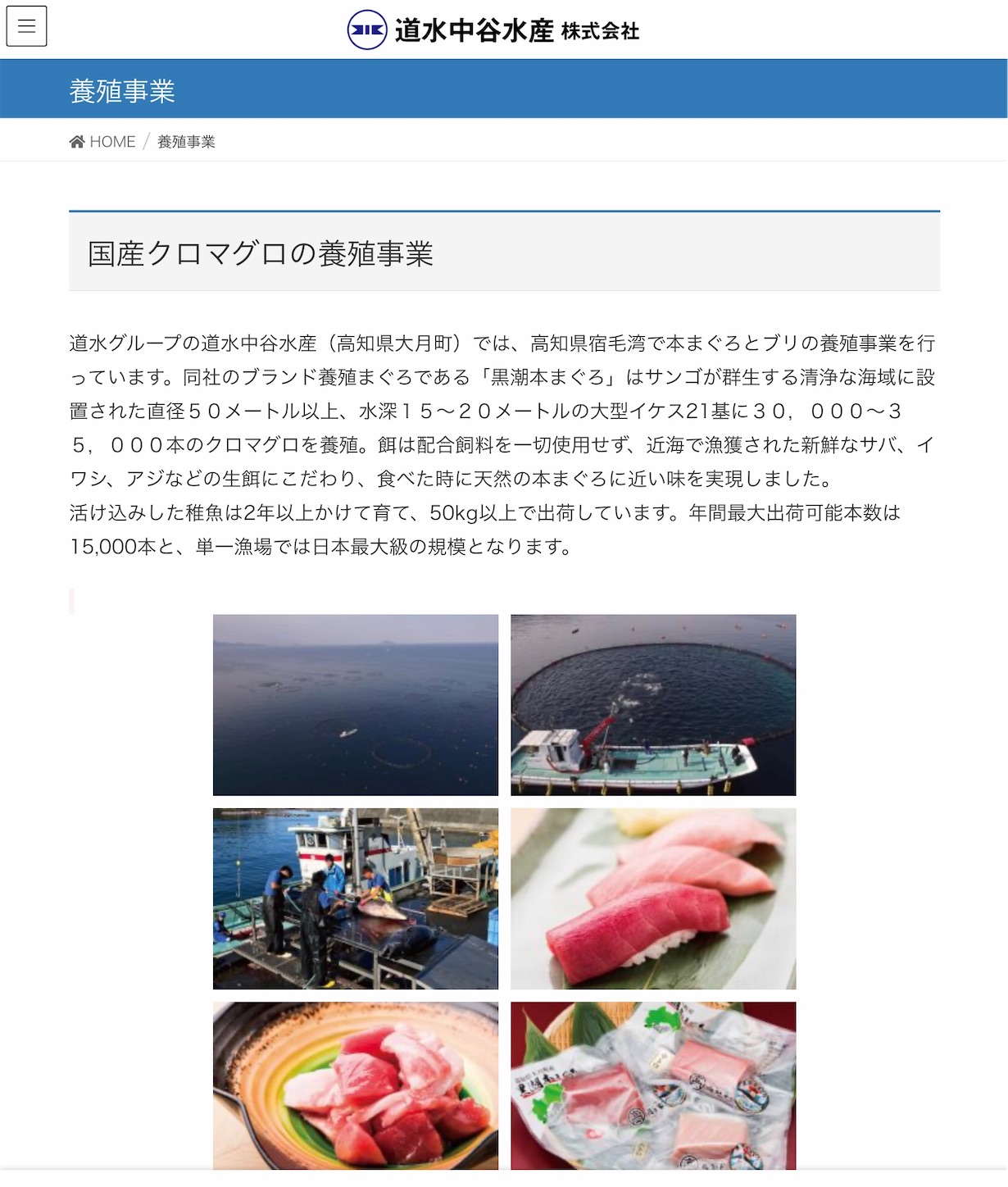 f:id:hatanikiteminkae:20200318200241j:image f:id:hatanikiteminkae:20200318200241j:image