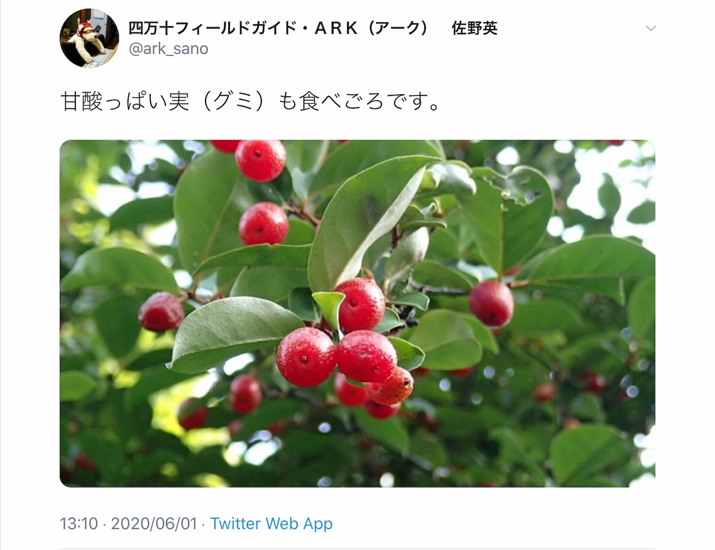 グイミ Hatanikiteminkaeのブログ