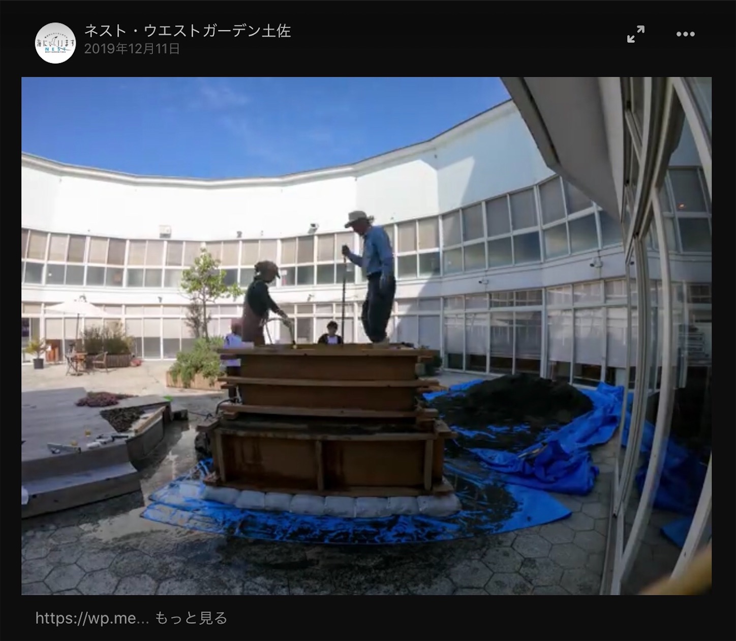 f:id:hatanikiteminkae:20200608195025j:image