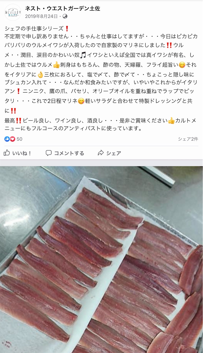 f:id:hatanikiteminkae:20200608210214j:image