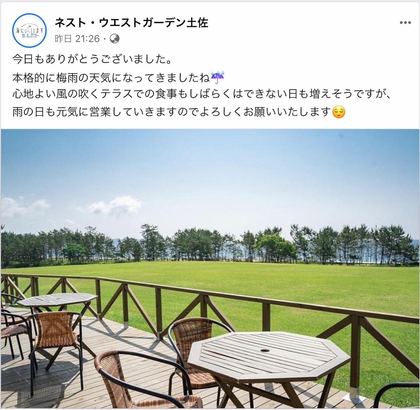 f:id:hatanikiteminkae:20200610073543j:image