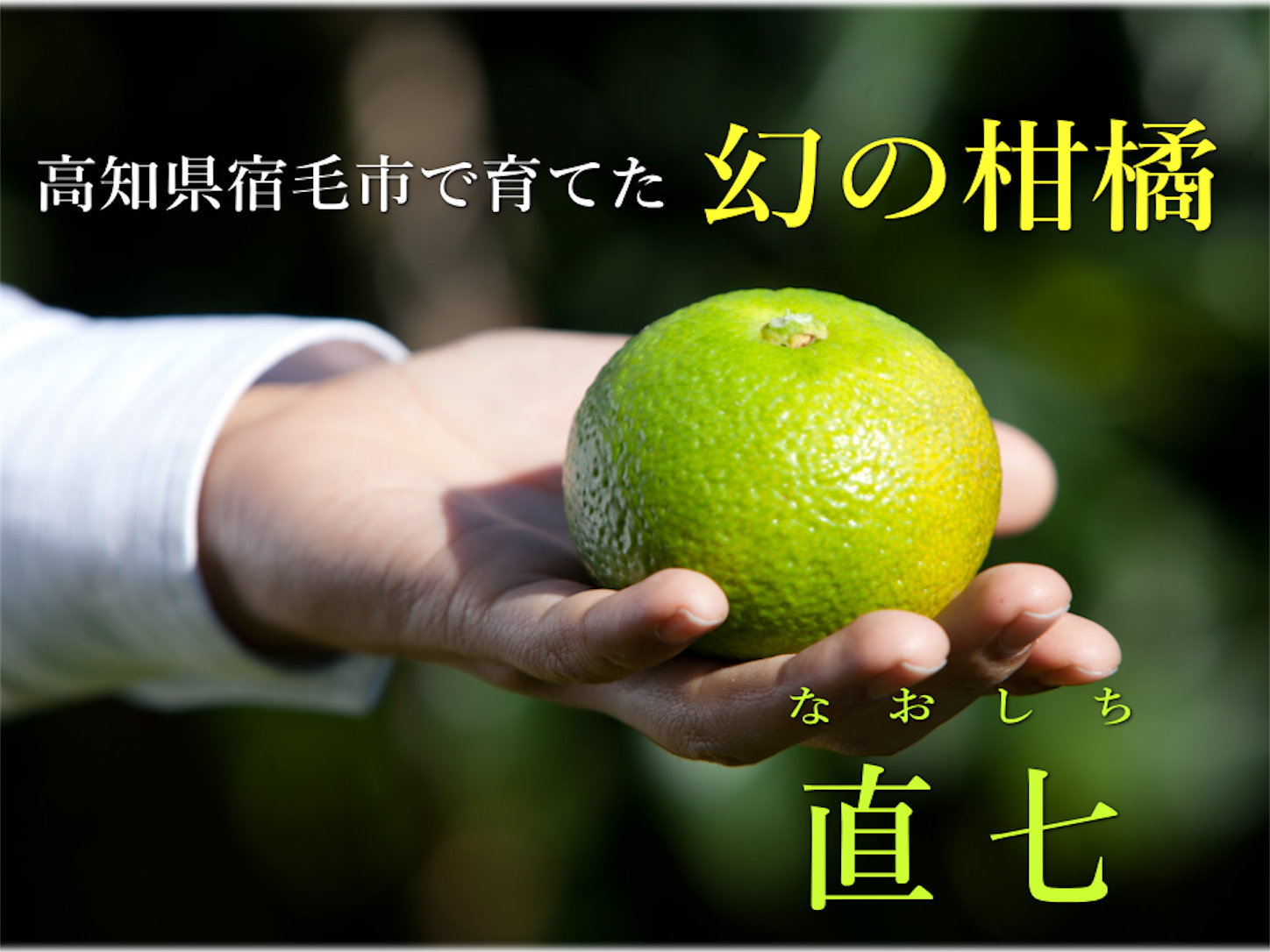 f:id:hatanikiteminkae:20201002181405p:image f:id:hatanikiteminkae:20201002181405p:image