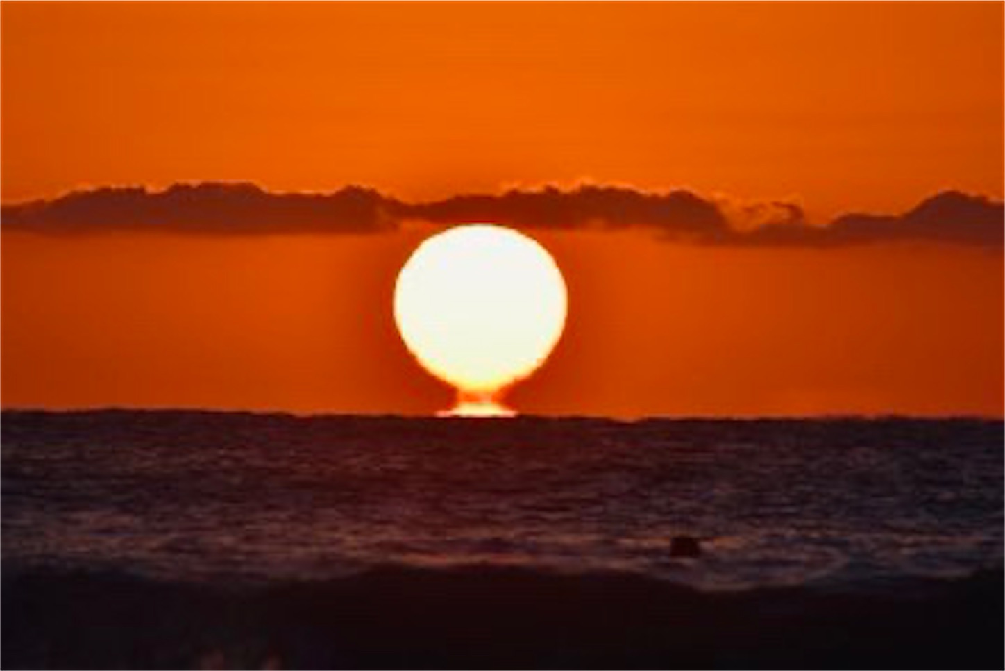 f:id:hatanikiteminkae:20201007064639j:image f:id:hatanikiteminkae:20201007064639j:image