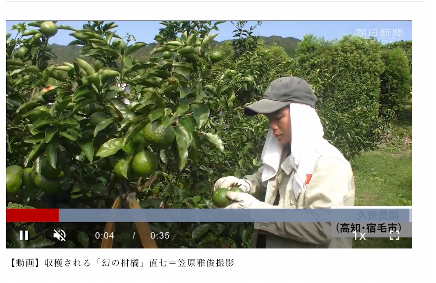 f:id:hatanikiteminkae:20201007222838j:image