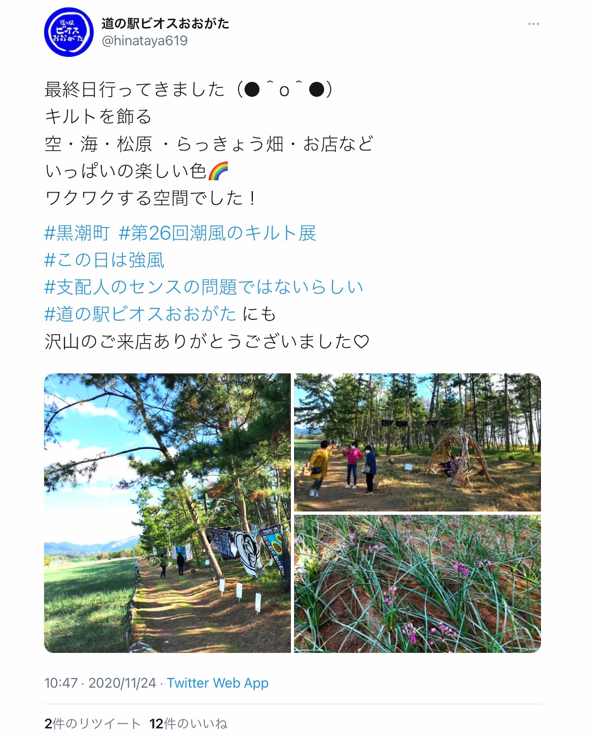 f:id:hatanikiteminkae:20201124131440j:image