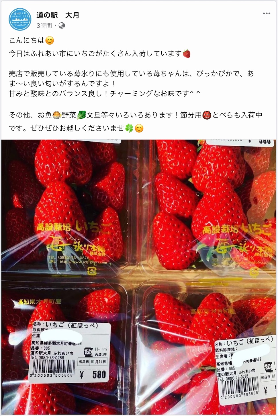 f:id:hatanikiteminkae:20210117163227j:image f:id:hatanikiteminkae:20210117163227j:image
