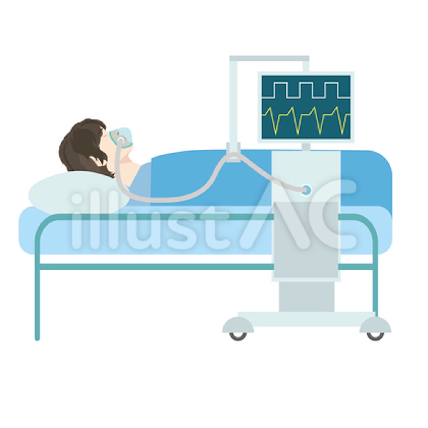 f:id:hatanikiteminkae:20210123150451j:image f:id:hatanikiteminkae:20210123150451j:image