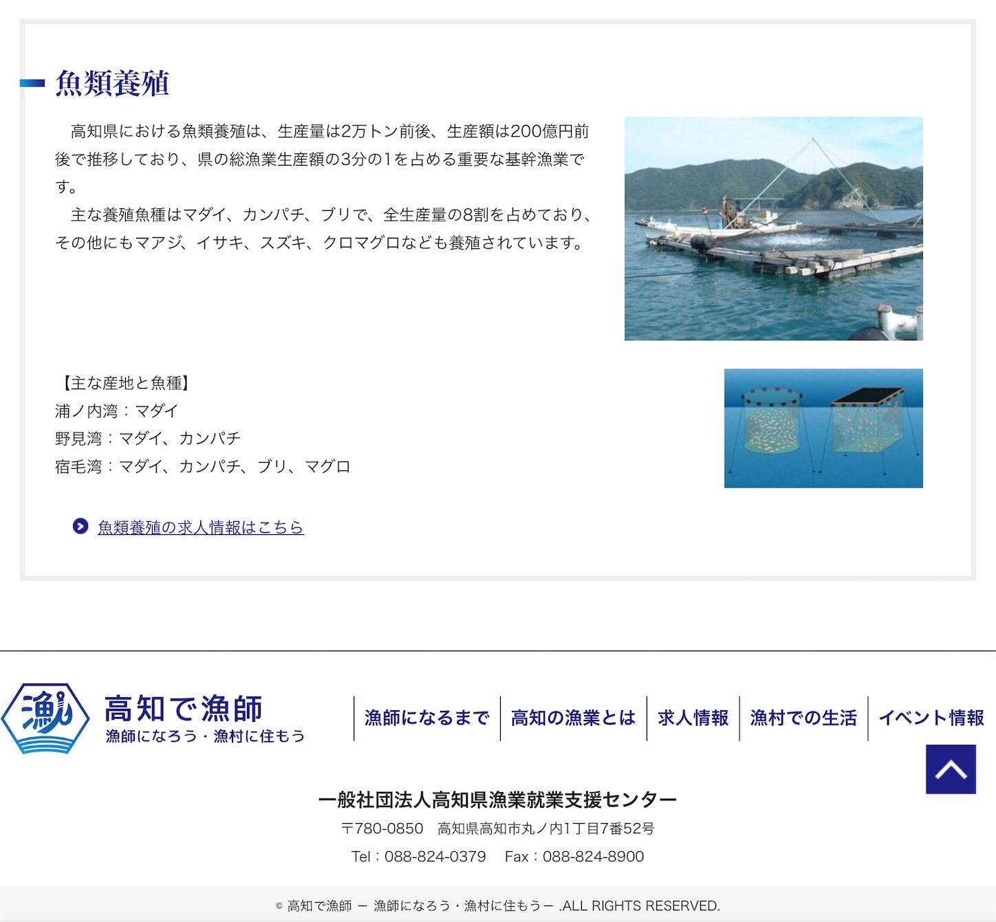 f:id:hatanikiteminkae:20210223092355j:image