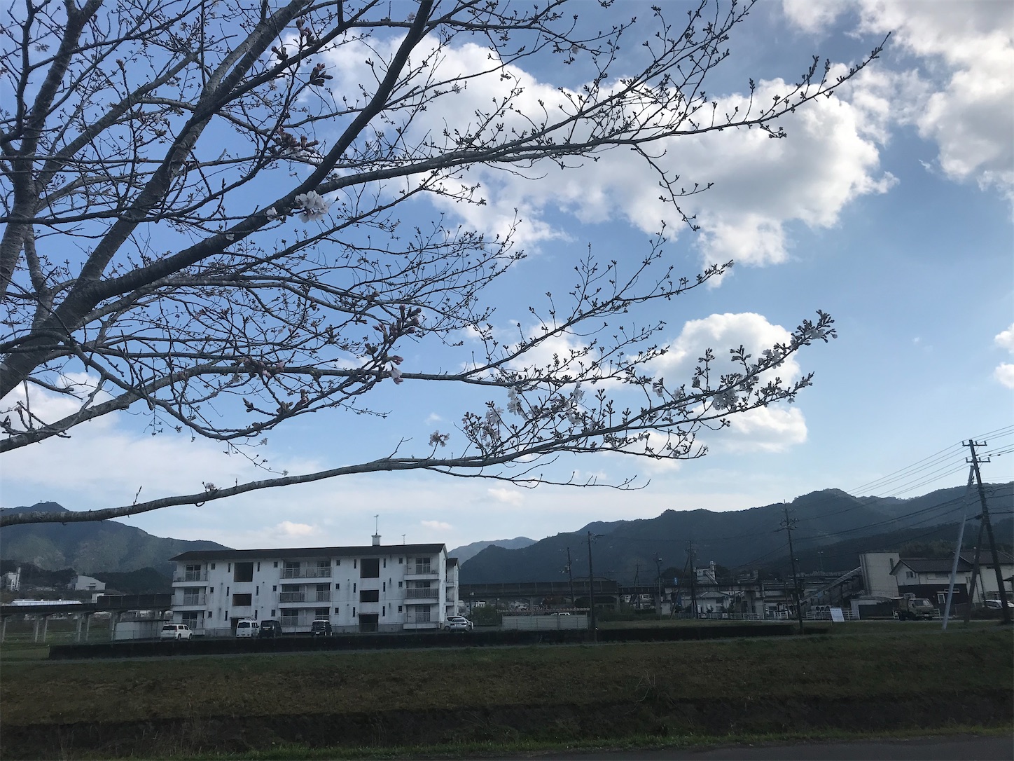 f:id:hatanikiteminkae:20210324234417j:image