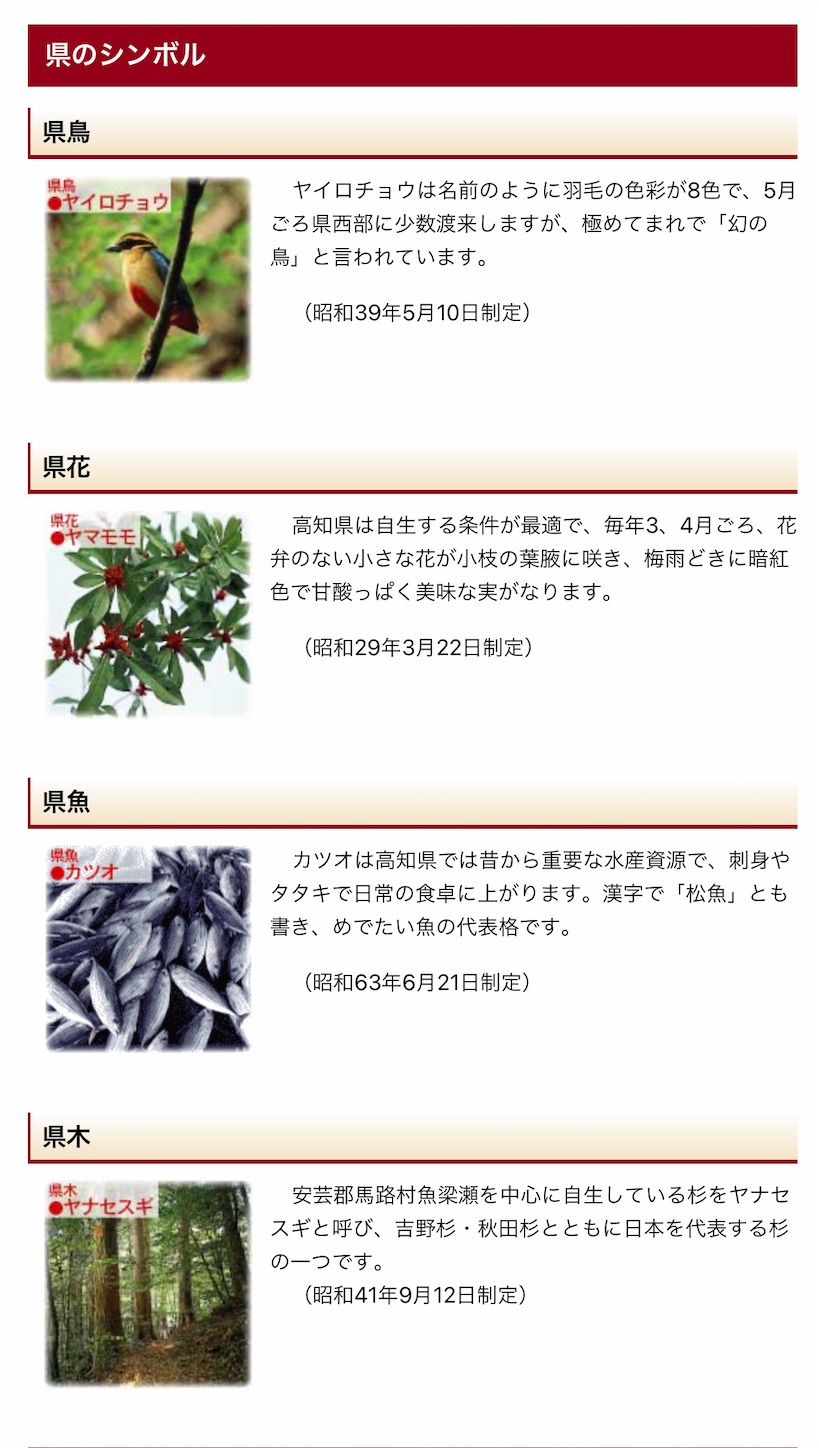 ヤマモモ Hatanikiteminkaeのブログ