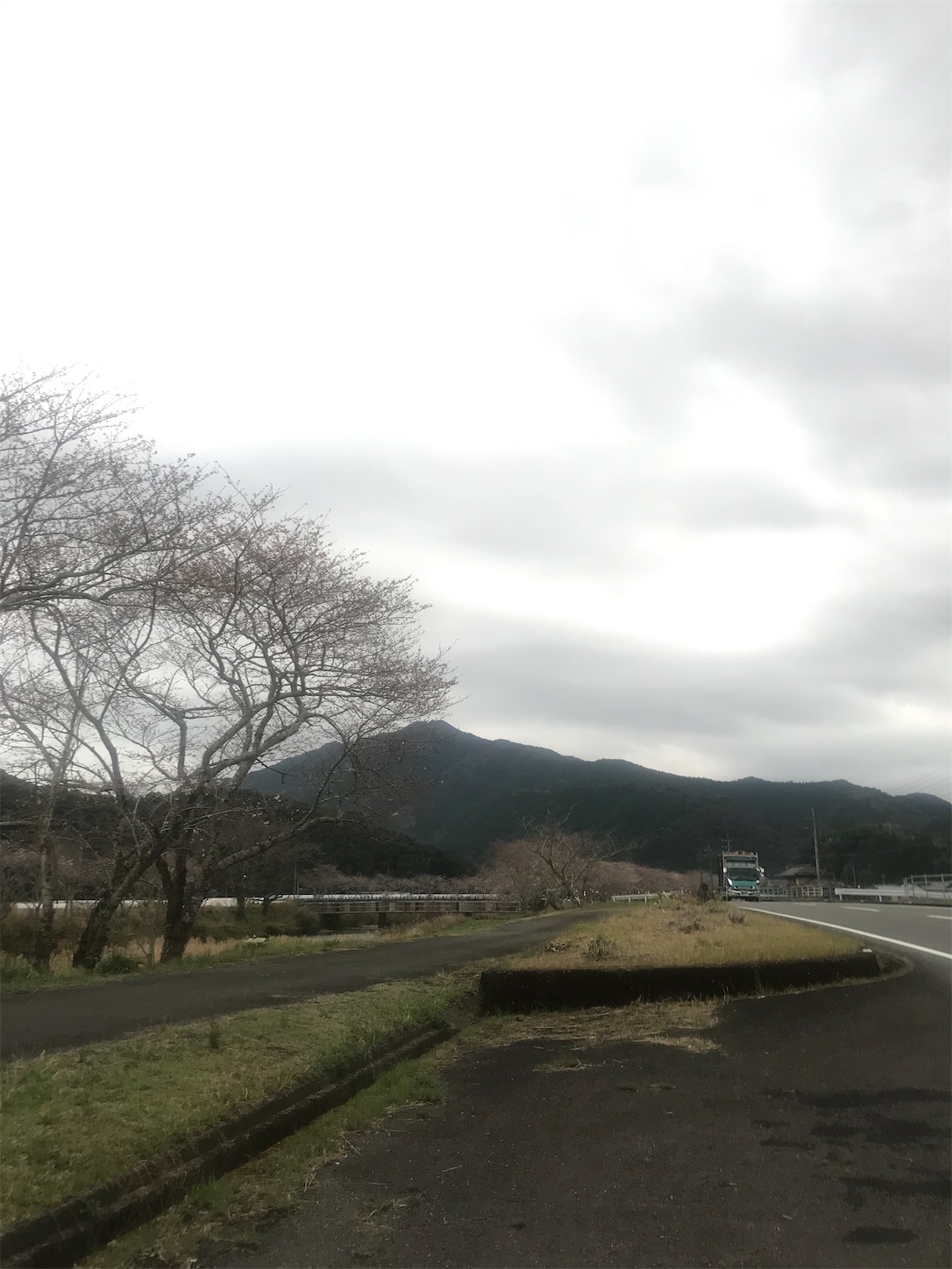 f:id:hatanikiteminkae:20220329085504j:image