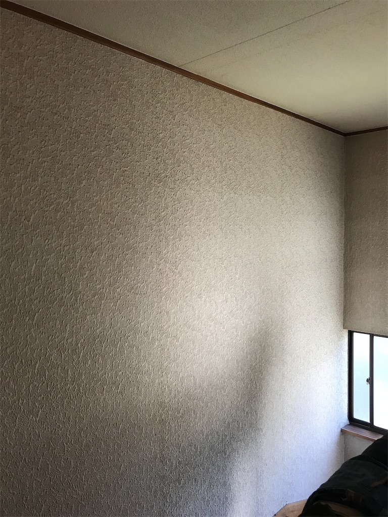 f:id:hatanomokuzai:20201015071532j:image