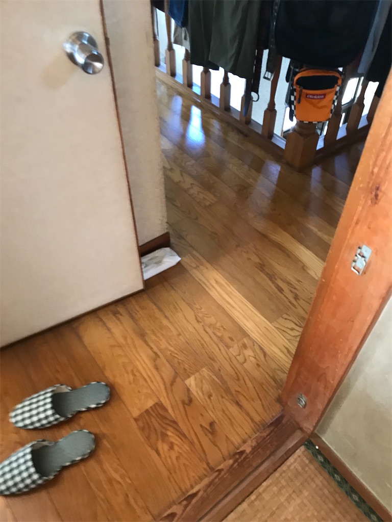 f:id:hatanomokuzai:20201015071613j:image