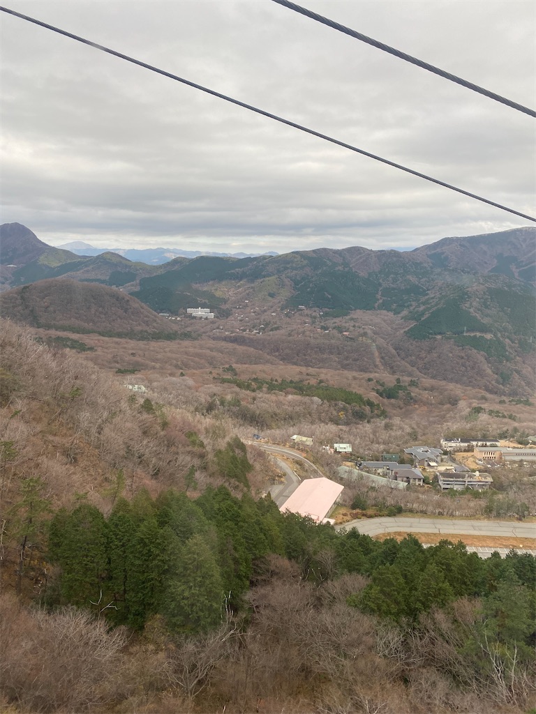 f:id:hatanomokuzai:20201125070009j:image