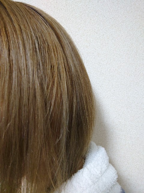 f:id:hatarakitakunai-haha:20220223204748j:image f:id:hatarakitakunai-haha:20220223204748j:image