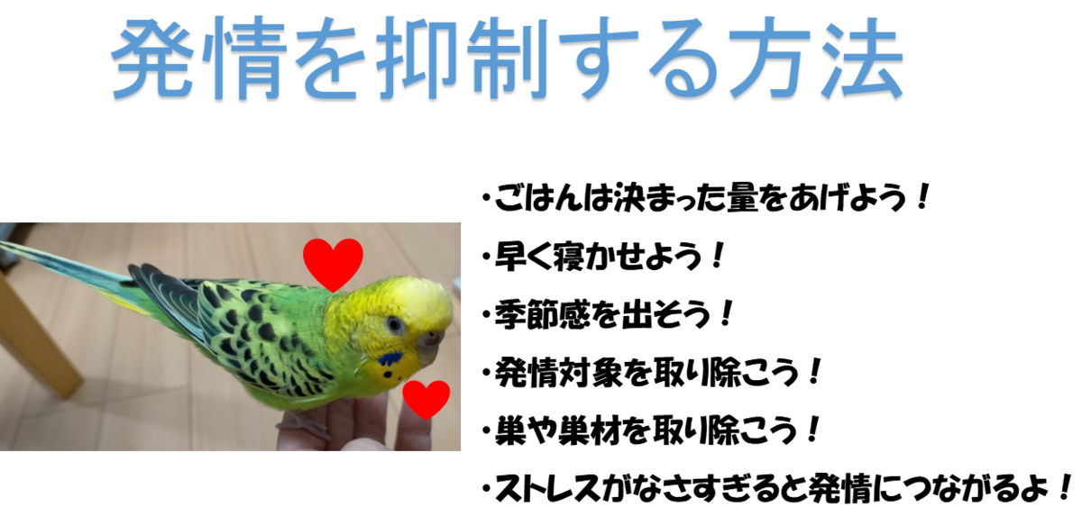 印刷可能 インコ 羽切り インコ 羽切り やり方