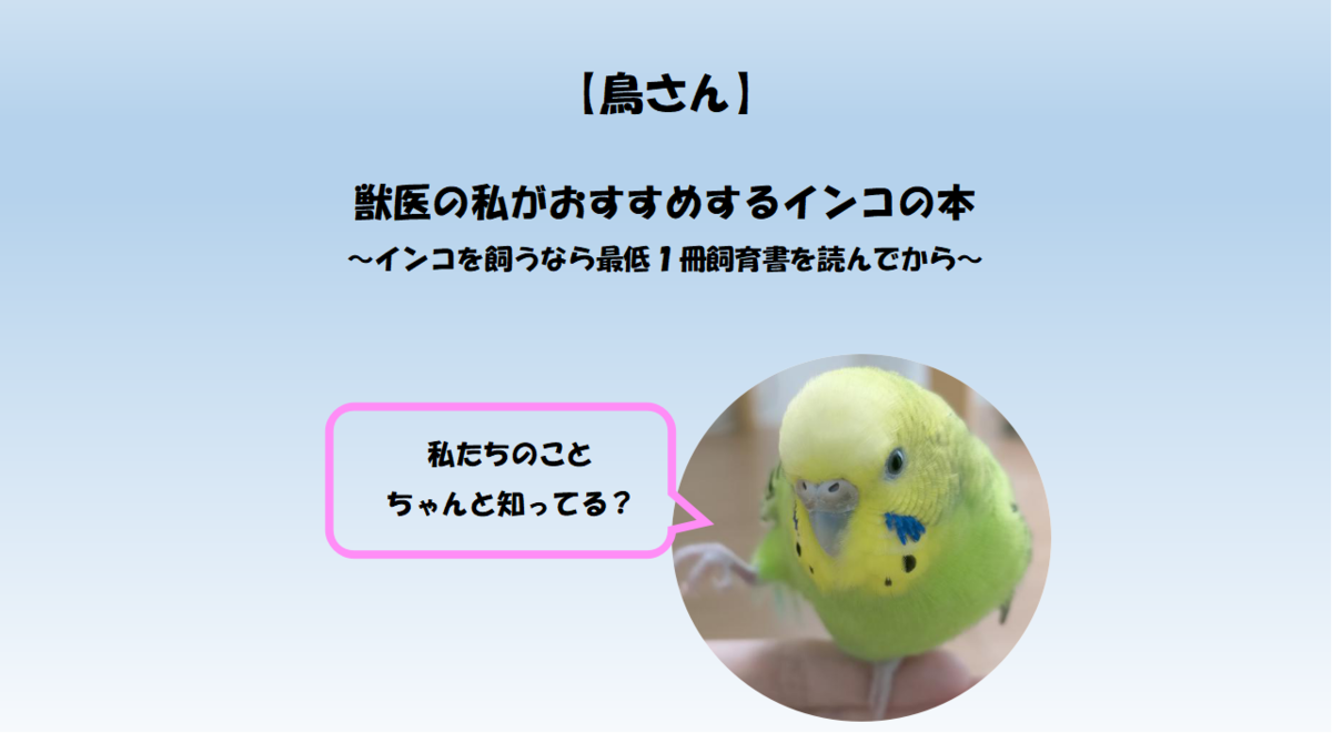 鳥さん 獣医の私がおすすめするインコの本 インコを飼うなら最低1冊飼育書を読んでから セミリタイアを目指す獣医師とり子のブログ 鳥さん 獣医の私がおすすめするインコの本 インコを飼うなら最低1冊飼育書を読んでから セミリタイアを目指す獣医師とり子のブログ