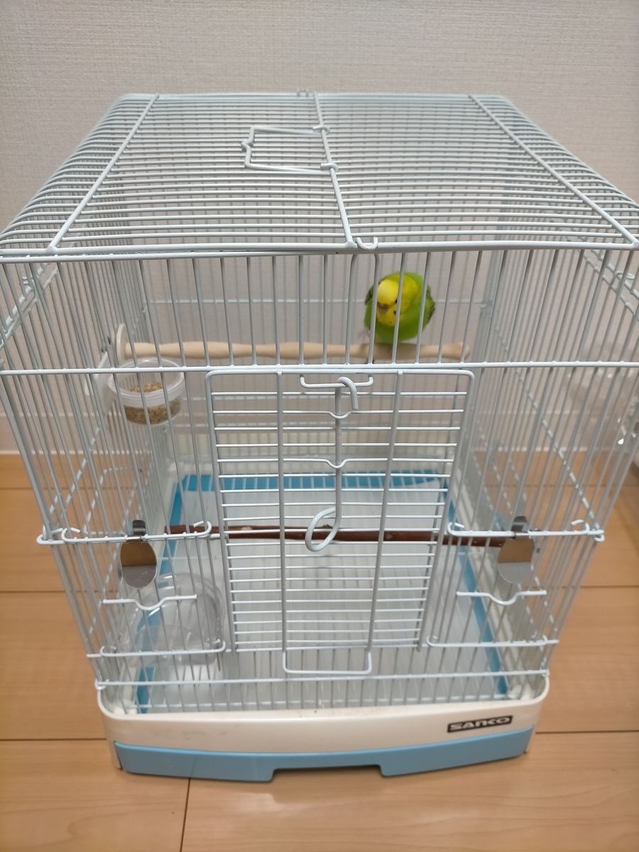 鳥さん 止まり木の選び方 天然木で愛鳥の足に合う太さの安全な止まり木がおすすめ 鳥好き獣医が伝えたい鳥の飼い方 鳥さん 止まり木の選び方 天然木で愛鳥の足に合う太さの安全な止まり木がおすすめ 鳥好き獣医が伝えたい鳥の飼い方