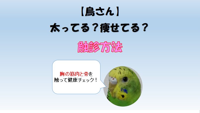☆胸確認用☆ （karin様ご確認用ページ 胸の大きい）
