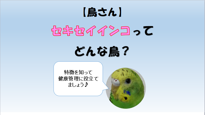 f:id:hatarakitakunai30:20210607141955p:plain