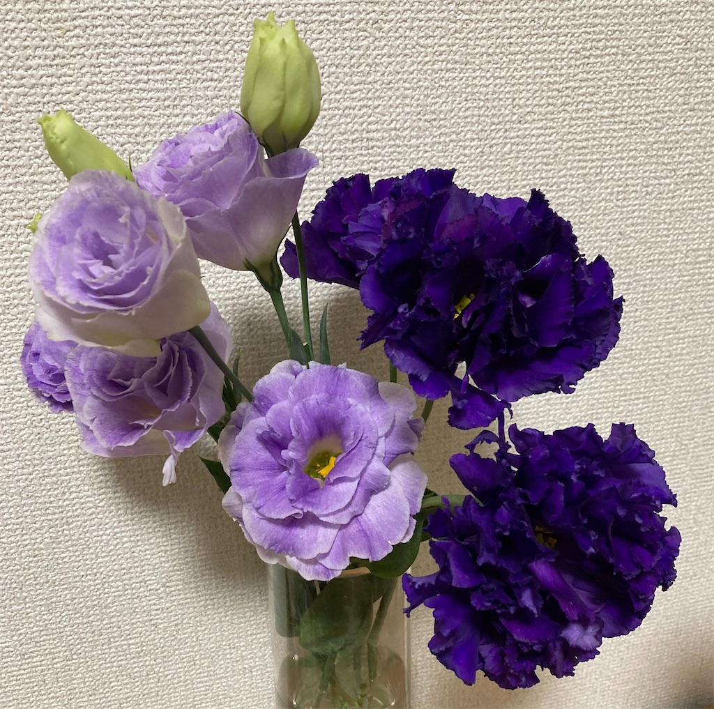 f:id:hatarakivachi:20210508221112j:image f:id:hatarakivachi:20210508221112j:image