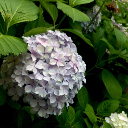 f:id:hatarakuchutsuma:20170609105740j:image