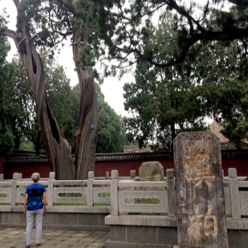 f:id:hatarakuchutsuma:20170812231634j:image f:id:hatarakuchutsuma:20170812231634j:image