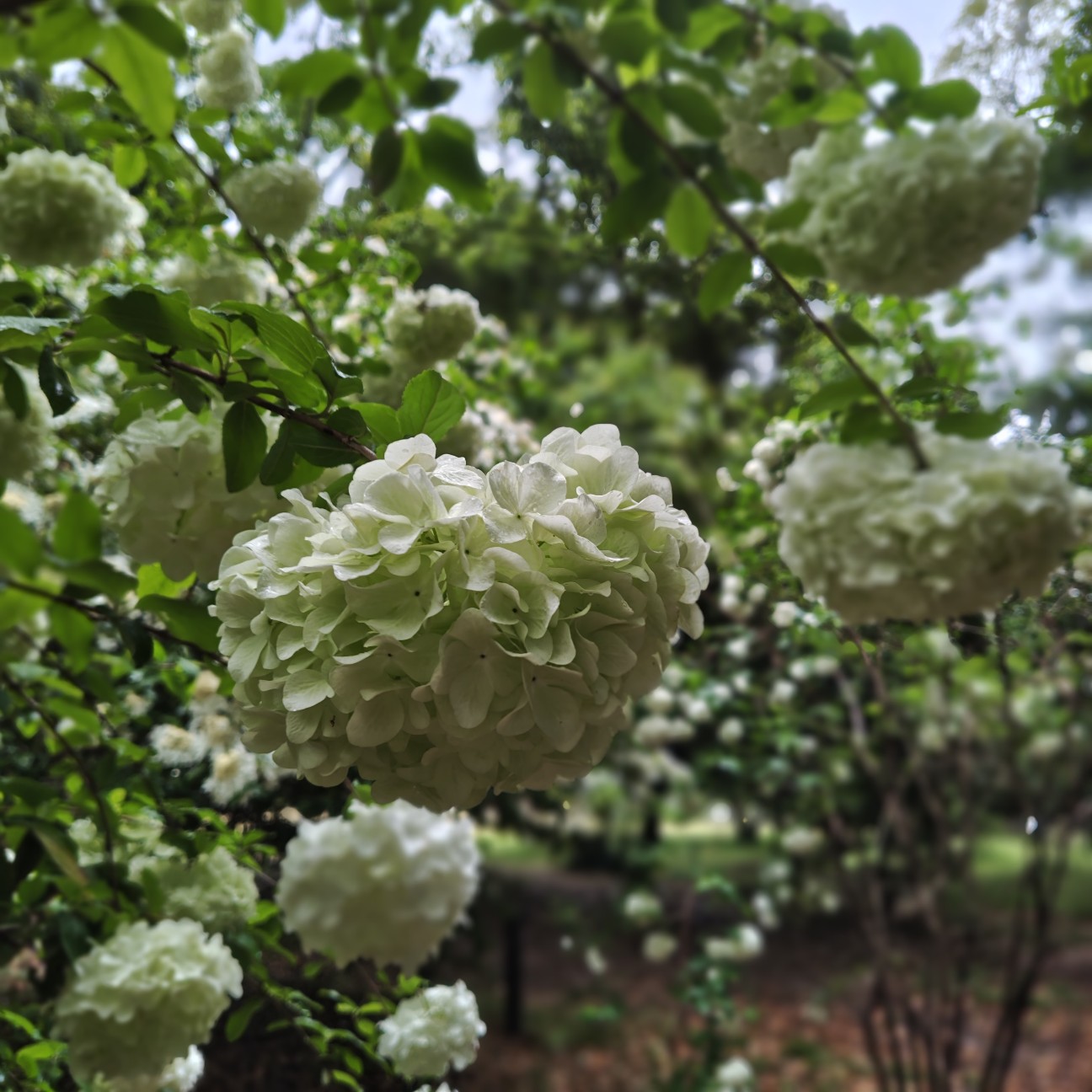 f:id:hatarakuchutsuma:20260505123719j:image