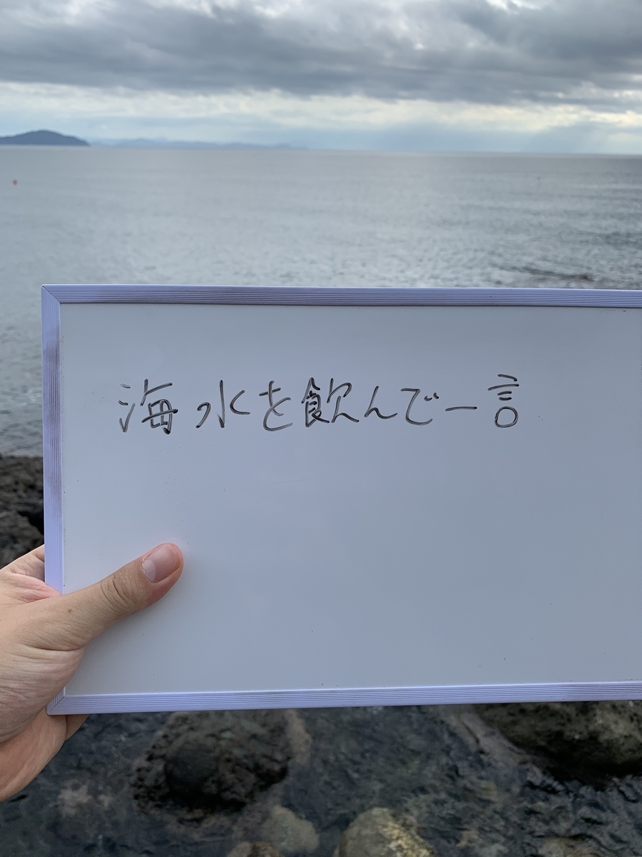 f:id:hatashouhei1990:20201012230652j:plain f:id:hatashouhei1990:20201012230652j:plain