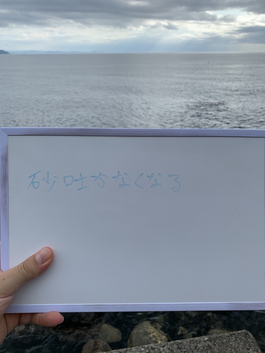 f:id:hatashouhei1990:20201012230835j:plain f:id:hatashouhei1990:20201012230835j:plain