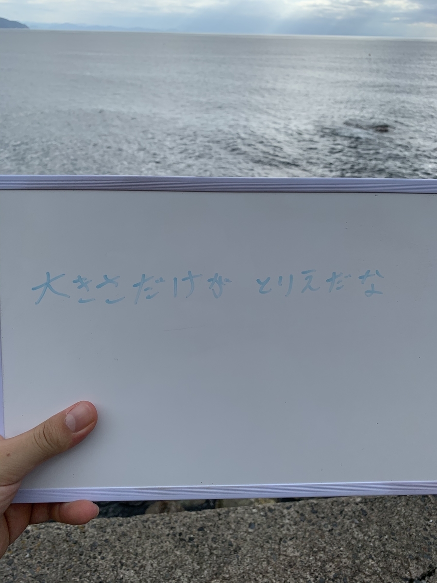 f:id:hatashouhei1990:20201012230915j:plain f:id:hatashouhei1990:20201012230915j:plain