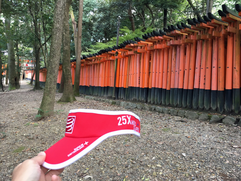 f:id:hatatinokarada:20161104072817j:plain