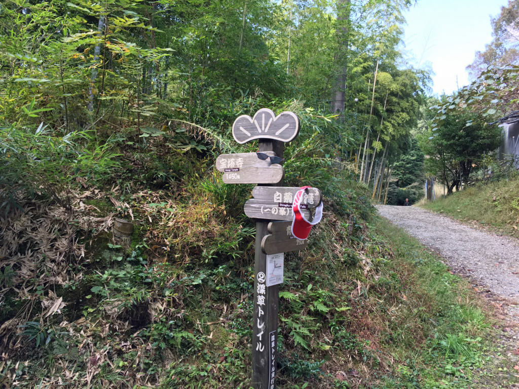 f:id:hatatinokarada:20161104073004j:plain