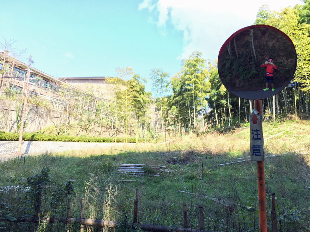 f:id:hatatinokarada:20161104074012j:plain