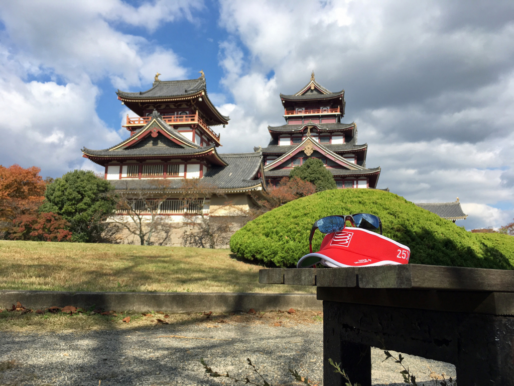 f:id:hatatinokarada:20161104074441j:plain