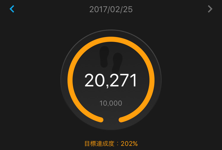 f:id:hatatinokarada:20170227162202j:plain f:id:hatatinokarada:20170227162202j:plain