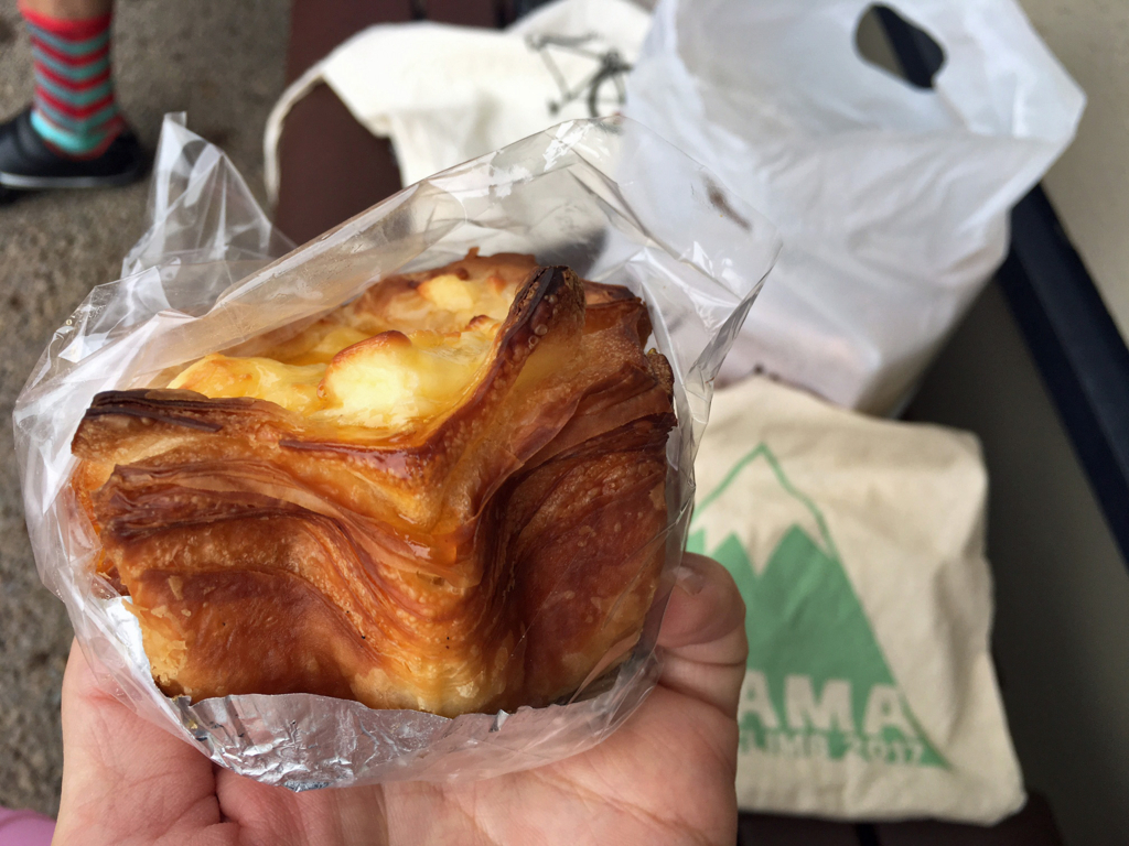 f:id:hatatinokarada:20170618153141j:plain